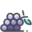 icons8-raisins-128